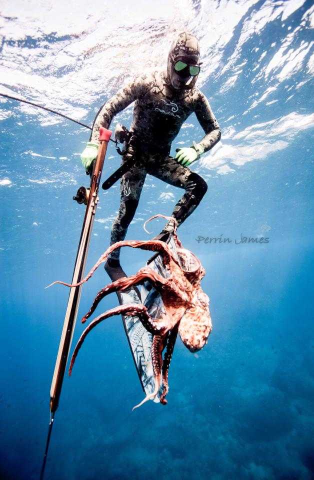 mica-with-octopus-adventure